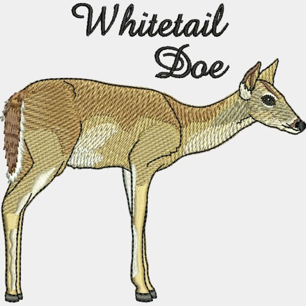 50676 Miniaturansicht