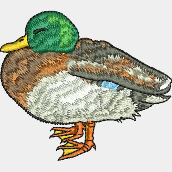 67626 Miniaturansicht