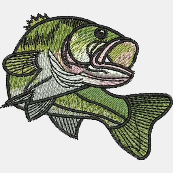 55893 Miniaturansicht