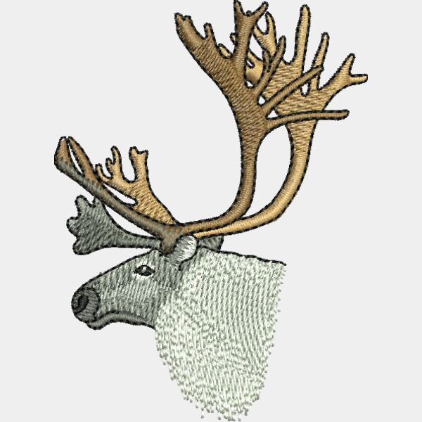 50633 Miniaturansicht