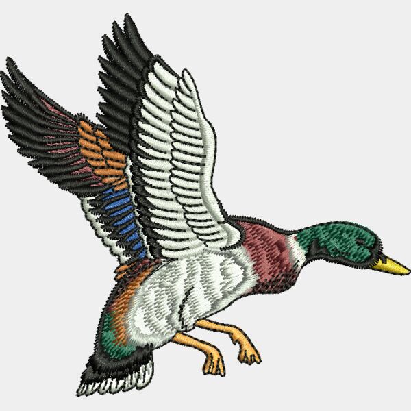 66838 Miniaturansicht