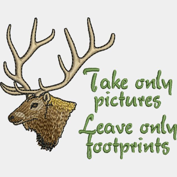 50680 Miniaturansicht