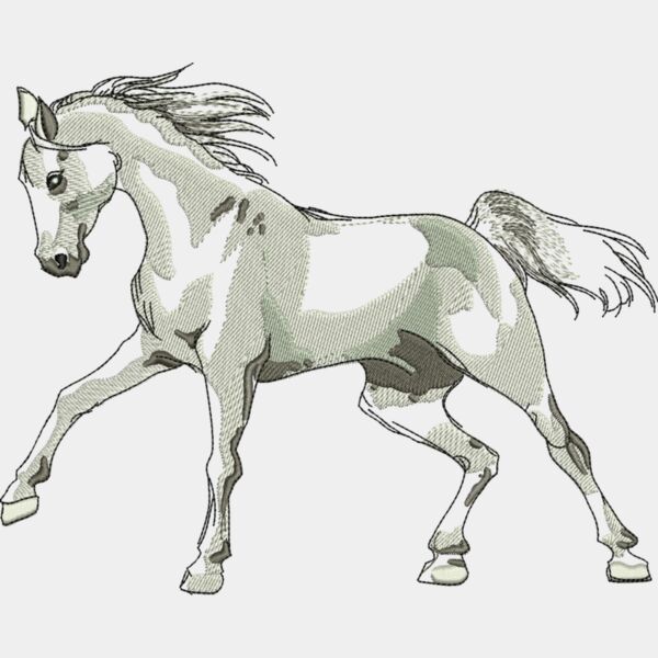 79865 Miniaturansicht