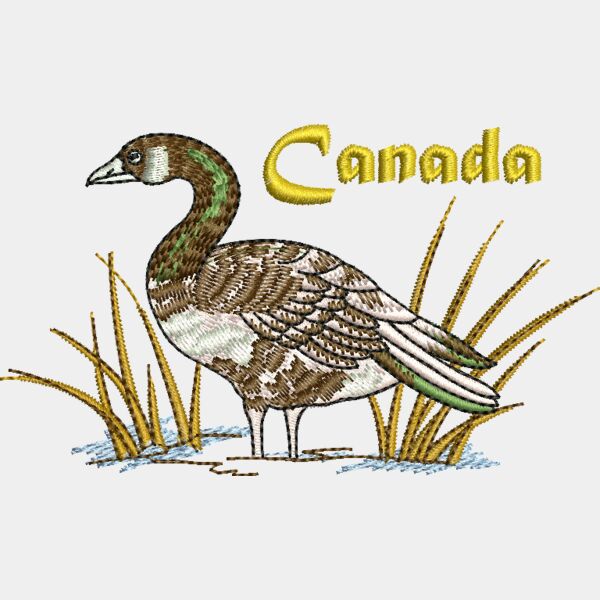 66317 Miniaturansicht