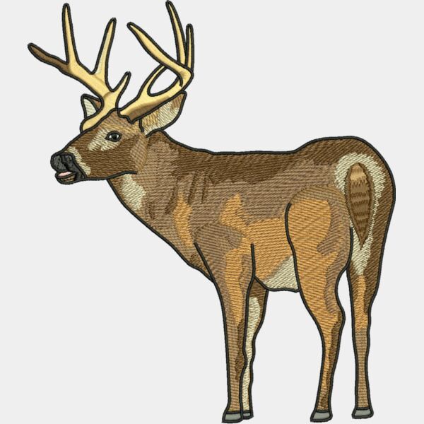 50621 Miniaturansicht