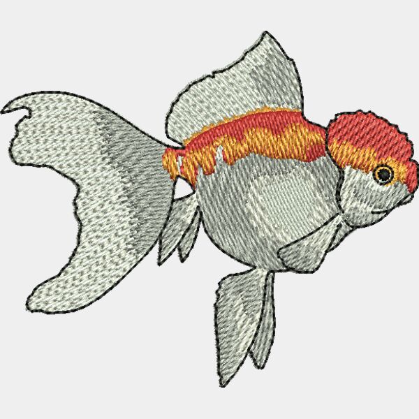 69555 Miniaturansicht