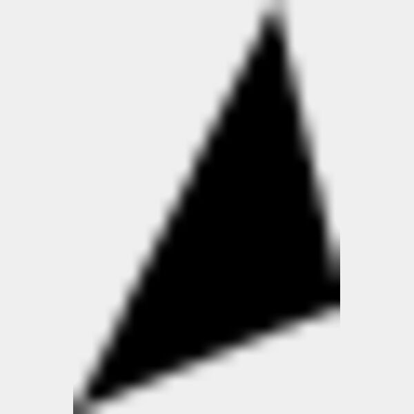 Form 165 Miniaturansicht