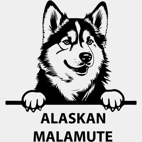 alaskan malamute  Miniaturansicht