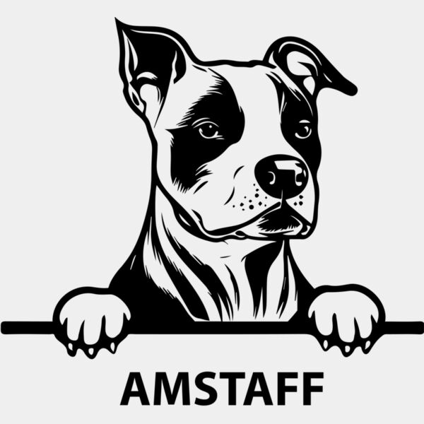 amstaff  Miniaturansicht