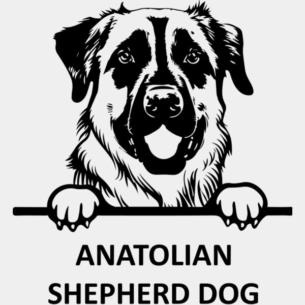 ANATOLIAN SHEPHERD DOG  Miniaturansicht