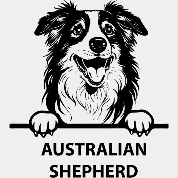 australian shepherd  Miniaturansicht