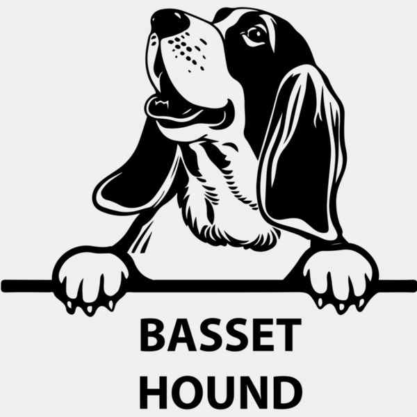 basset hound  Miniaturansicht