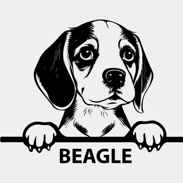 beagle 1  Miniaturansicht