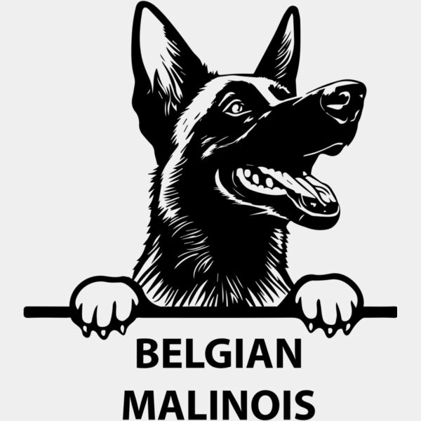 belgian malinois  Miniaturansicht