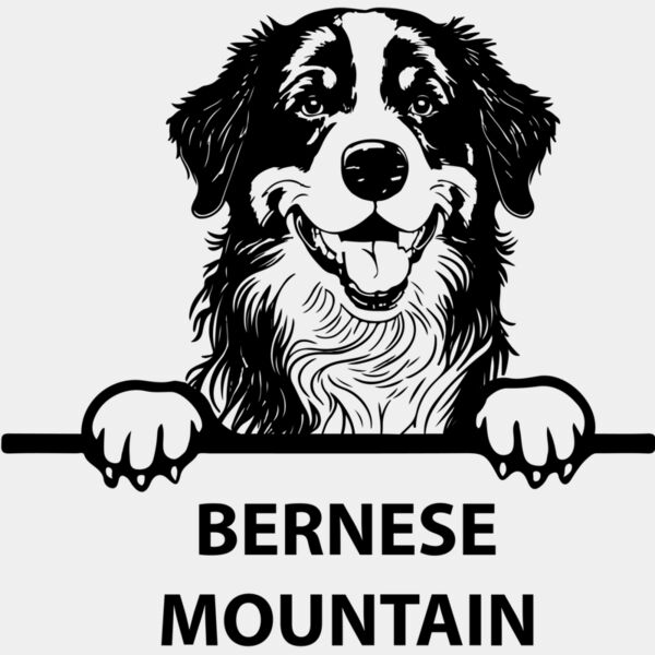 bernese mountain  Miniaturansicht