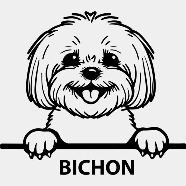 bichon  Miniaturansicht