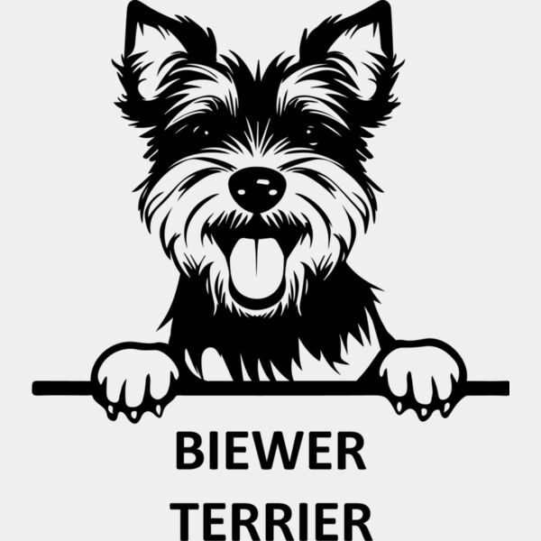 biewer terrier  Miniaturansicht