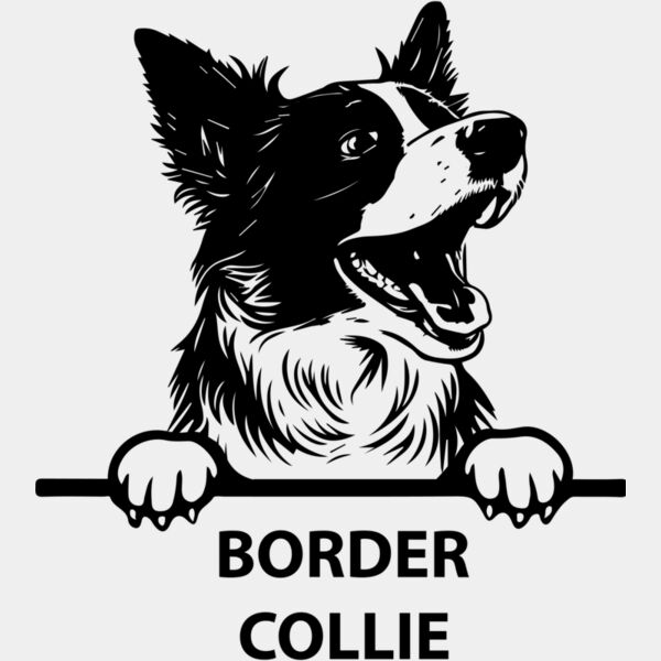 border collie 1  Miniaturansicht