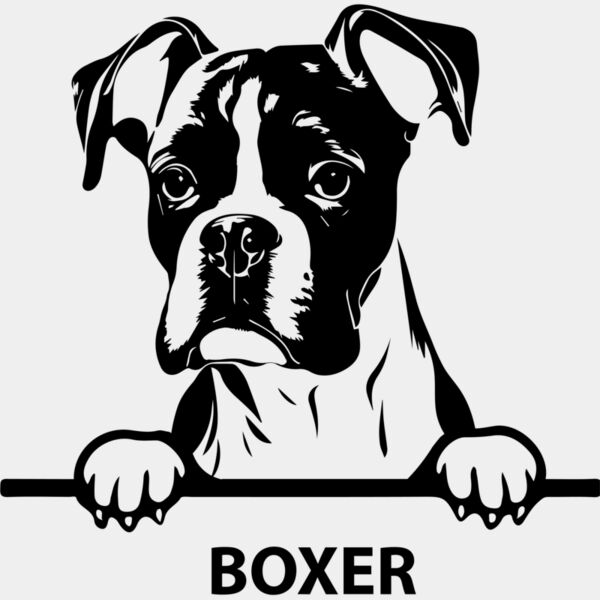 boxer 1  Miniaturansicht