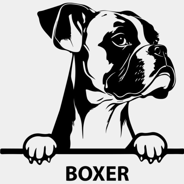 boxer  Miniaturansicht