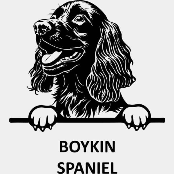 BOYKIN SPANIEL 1  Miniaturansicht
