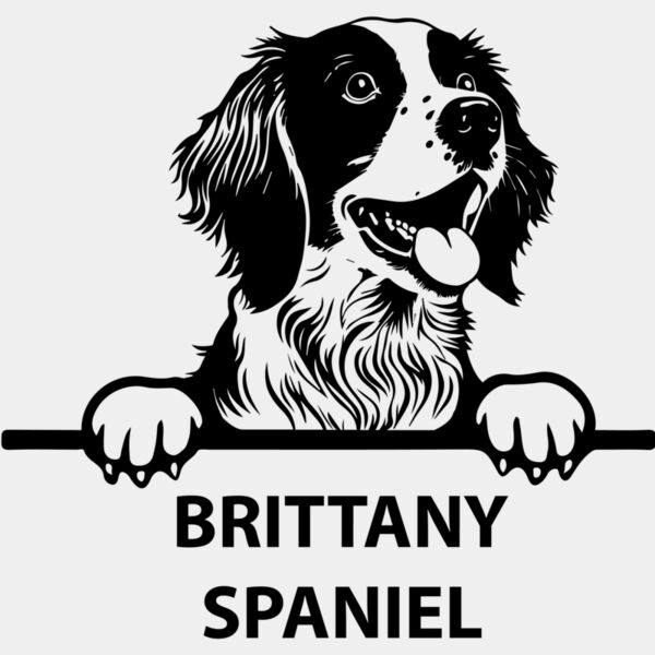 brittany spaniel  Miniaturansicht