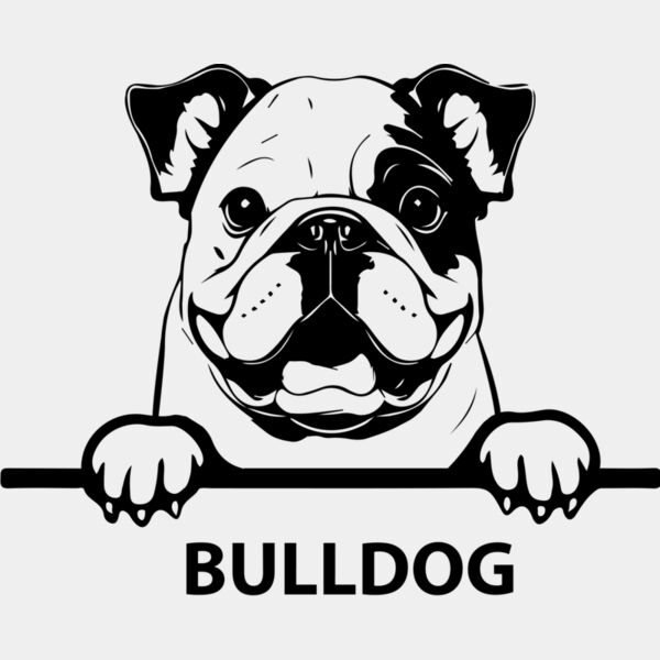 bulldog 1  Miniaturansicht