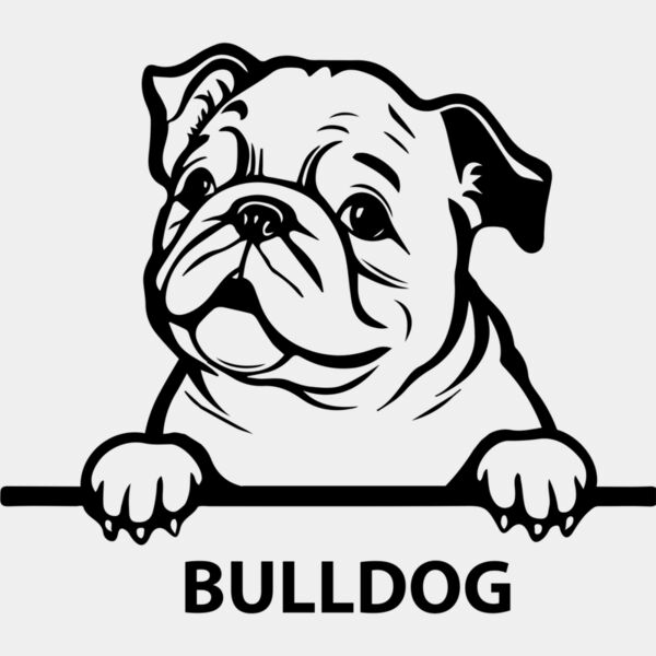 bulldog 2  Miniaturansicht