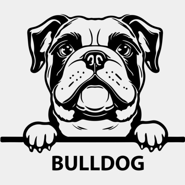 bulldog  Miniaturansicht