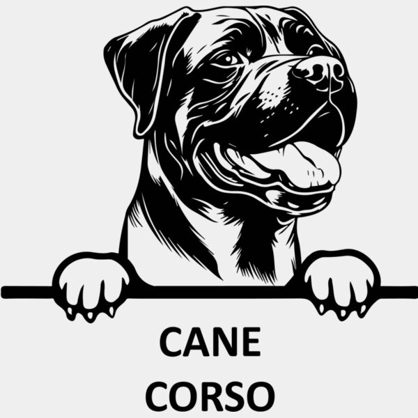 Cane Corso  Miniaturansicht