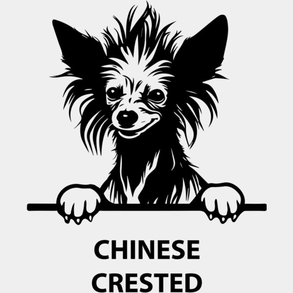 chinese crested  Miniaturansicht