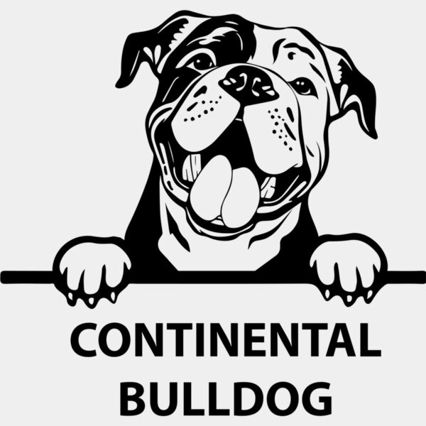 continental bulldog  Miniaturansicht