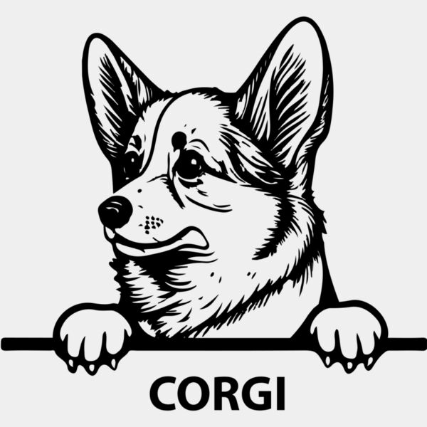 corgi 1  Miniaturansicht