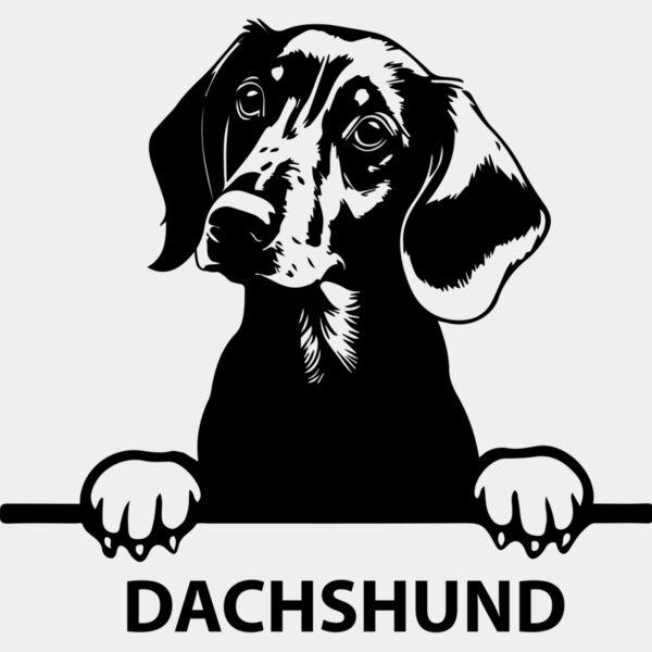 dachshund  Miniaturansicht