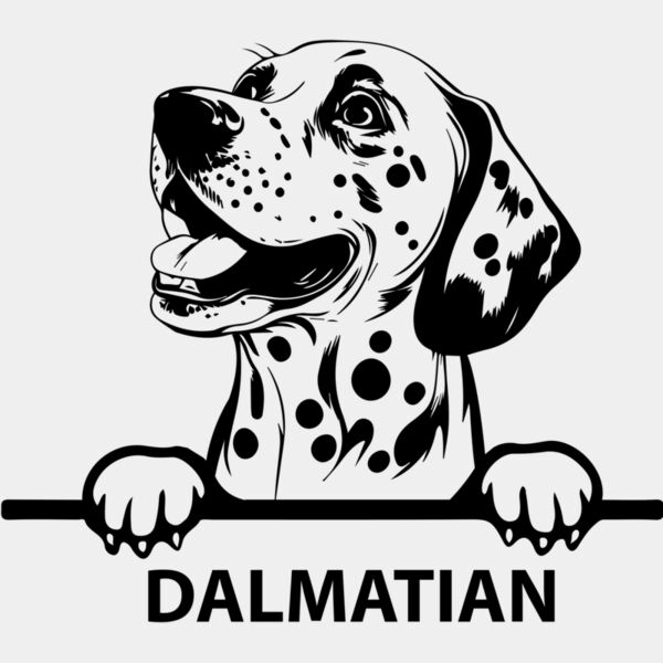 dalmatian  Miniaturansicht