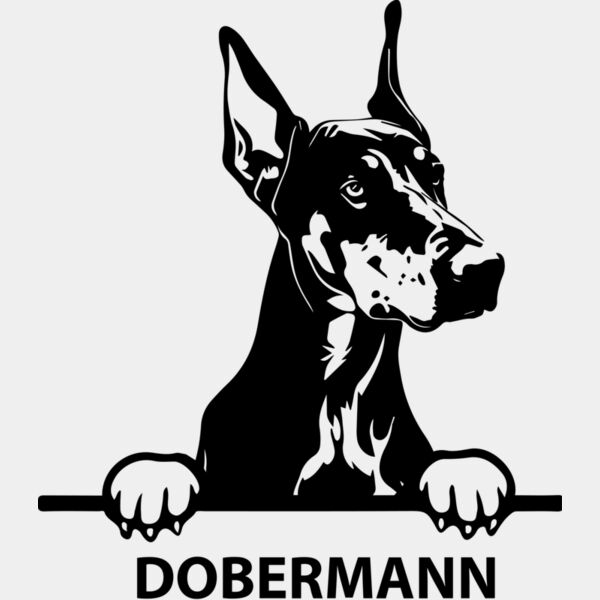 dobermann 1  Miniaturansicht