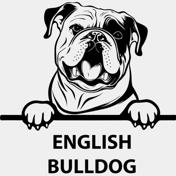 english bulldog  Miniaturansicht