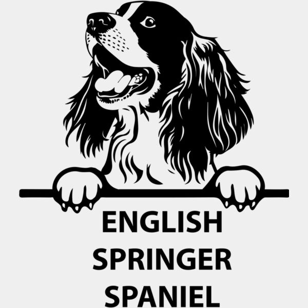 english springer spaniel  Miniaturansicht