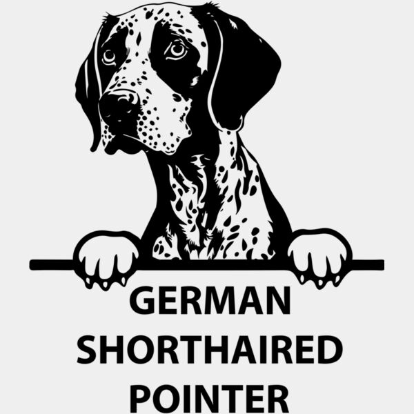german shorthaired pointer 1  Miniaturansicht