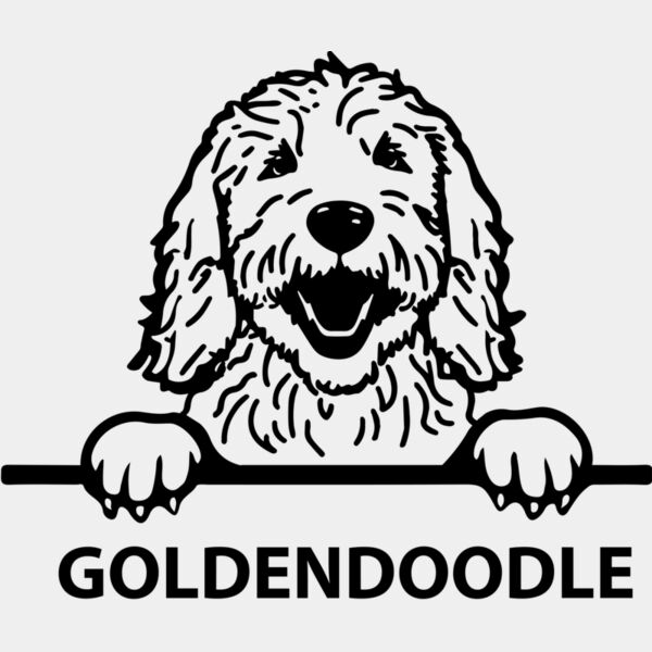 goldendoodle  Miniaturansicht