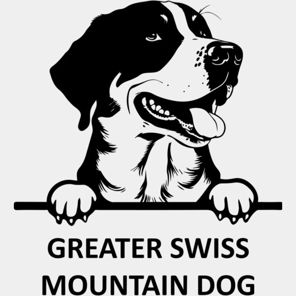 GREATER SWISS MOUNTAIN DOG 1  Miniaturansicht