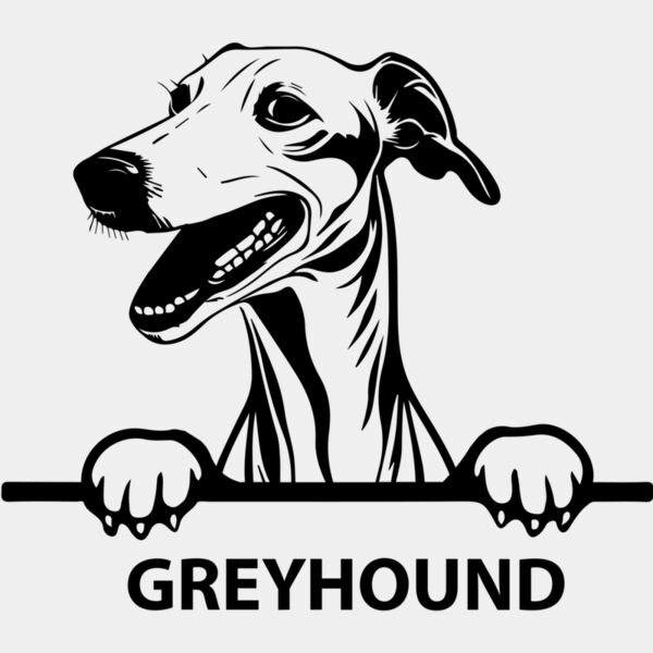 greyhound  Miniaturansicht