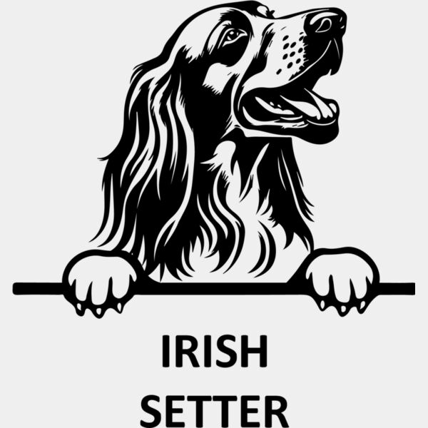 irish setter  Miniaturansicht