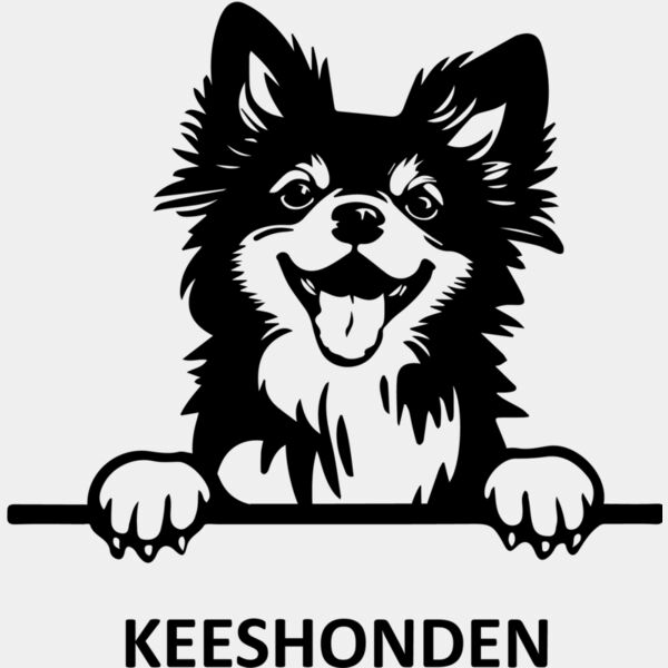 KEESHONDEN  Miniaturansicht