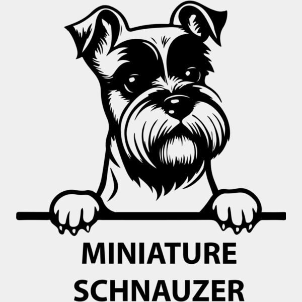 miniature schnauzer  Miniaturansicht