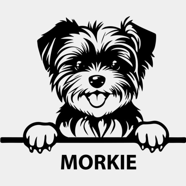 morkie  Miniaturansicht