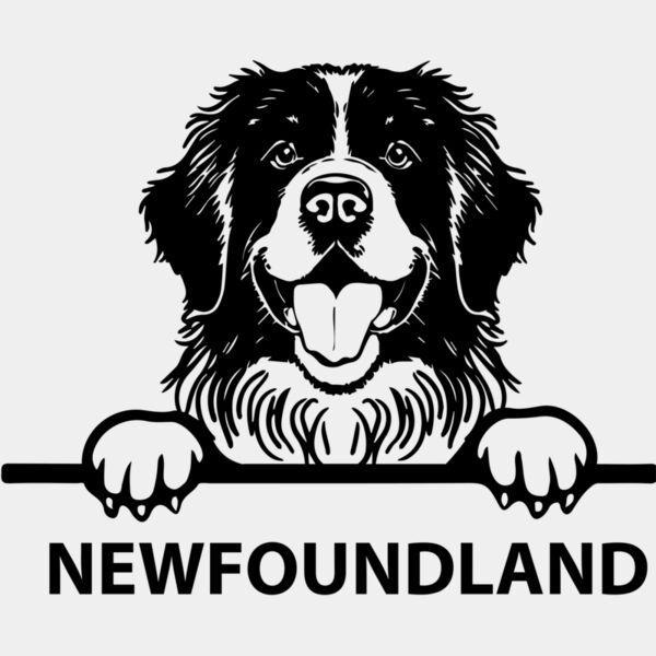 newfoundland  Miniaturansicht
