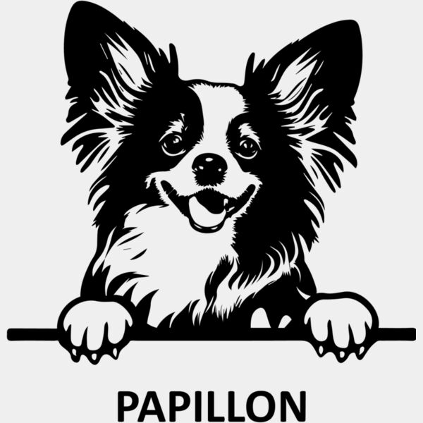 Papillon  Miniaturansicht