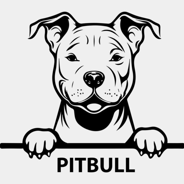 pitbull 1  Miniaturansicht