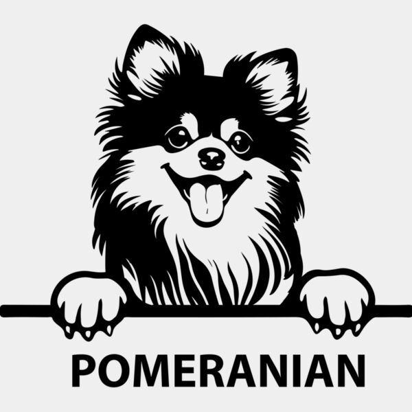 pomeranian  Miniaturansicht